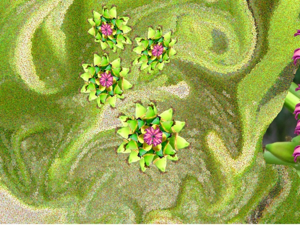 Creation of Butterfly Heaven: Step 9